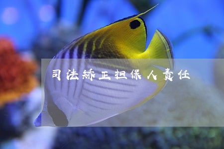 司法矫正担保人责任 司法矫正担保人责任