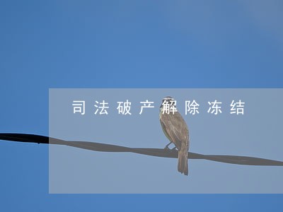 司法破产解除冻结 司法破产解除冻结