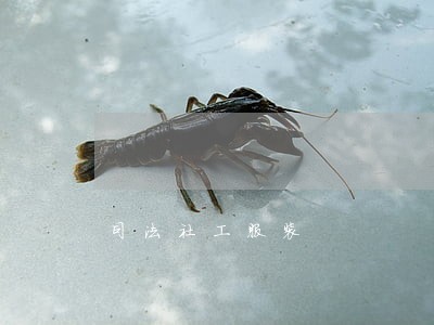 司法社工服装 司法社工服装