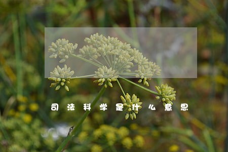 司法科学是什么意思 司法科学是什么意思