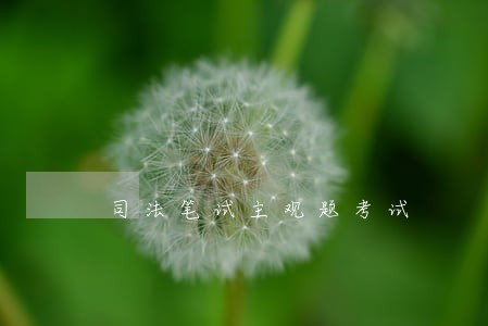 司法笔试主观题考试 司法笔试主观题考试