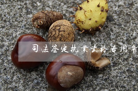司法签定执业资格专用章 司法签定执业资格专用章