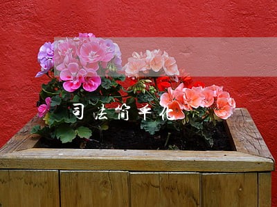 司法简单化 司法简单化
