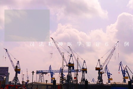 司法精神医学鉴定62例分析