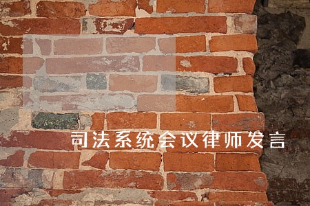 司法系统会议律师发言 司法系统会议律师发言