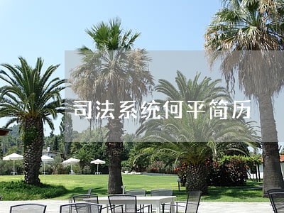 司法系统何平简历 司法系统何平简历