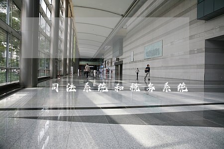 司法系统和税务系统 司法系统和税务系统