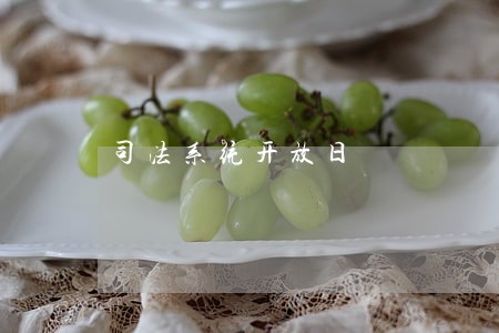 司法系统开放日 司法系统开放日