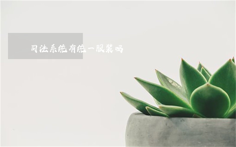 司法系统有统一服装吗 司法系统有统一服装吗