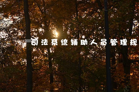 司法系统辅助人员管理规定 司法系统辅助人员管理规定
