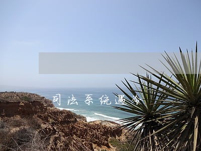 司法系统遇冷 司法系统遇冷