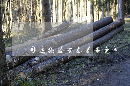 司法经验有志者事竟成 司法经验有志者事竟成