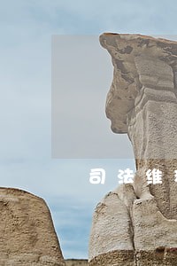 司法维稳形势分析报告