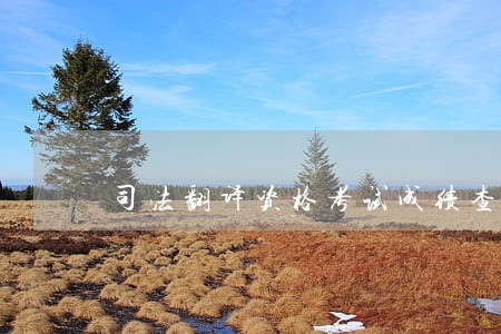 司法翻译资格考试成绩查询 司法翻译资格考试成绩查询