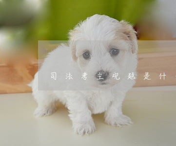 司法考主观题是什么