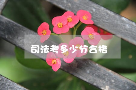 司法考多少分合格 司法考多少分合格