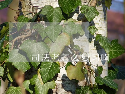 司法考怎么复习啊 司法考怎么复习啊
