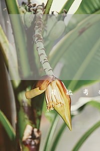 司法考放宽地区 司法考放宽地区