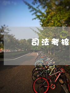 司法考核书记员的自查报告 司法考核书记员的自查报告
