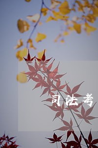 司法考网上报名 司法考网上报名
