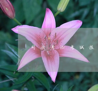 司法考证考试报名时间