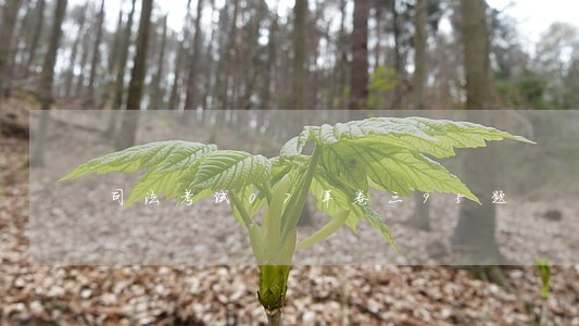 司法考试07年卷三95题 司法考试07年卷三95题