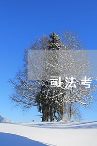 司法考试11月1日 司法考试11月1日