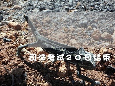 司法考试20日结束 司法考试20日结束