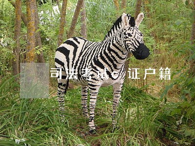 司法考试c证户籍 司法考试c证户籍
