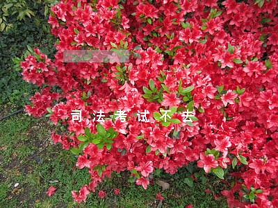 司法考试不去 司法考试不去