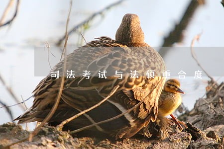 司法考试与法硕重合度 司法考试与法硕重合度