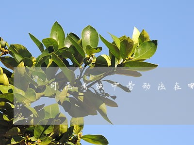 司法考试中劳动法在哪里讲 司法考试中劳动法在哪里讲