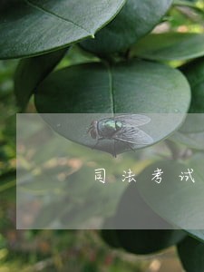 司法考试主观卷分数 司法考试主观卷分数