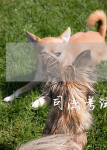 司法考试主观考题 司法考试主观考题
