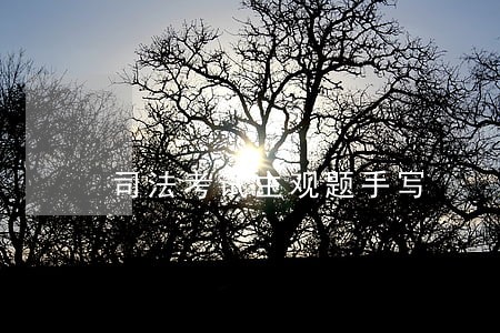 司法考试主观题手写