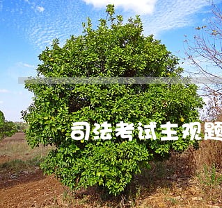 司法考试主观题考几场 司法考试主观题考几场