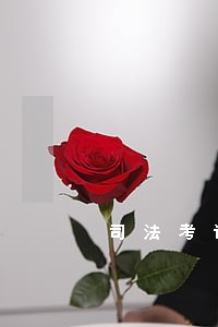 司法考试什么专业 司法考试什么专业