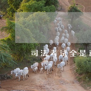 司法考试全是选择题 司法考试全是选择题