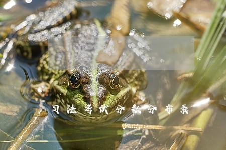 司法考试分数分布表 司法考试分数分布表