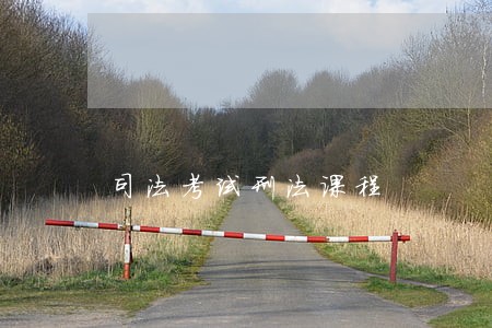 司法考试刑法课程 司法考试刑法课程