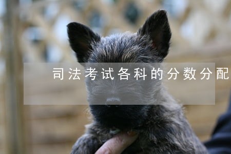 司法考试各科的分数分配 司法考试各科的分数分配