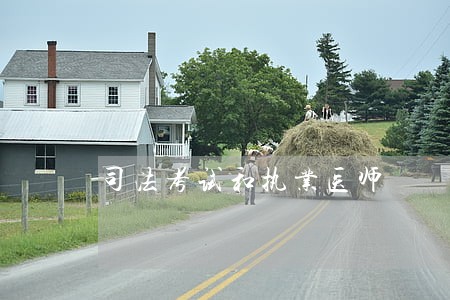 司法考试和执业医师 司法考试和执业医师