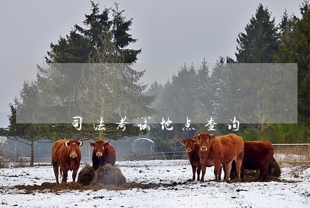 司法考试地点查询 司法考试地点查询