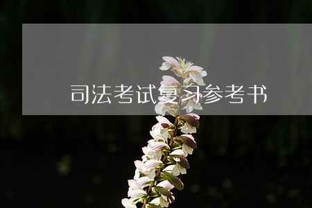 司法考试复习参考书 司法考试复习参考书
