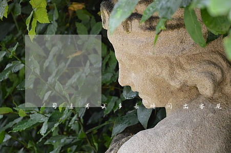 司法考试多长时间出客观题成绩 司法考试多长时间出客观题成绩