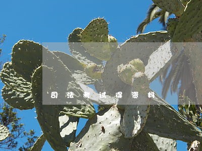 司法考试得资料
