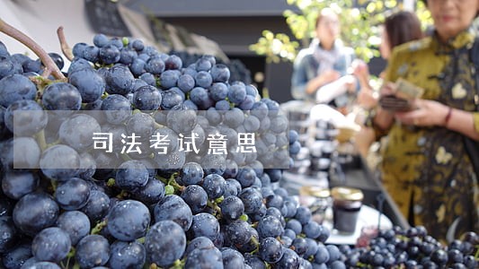 司法考试意思 司法考试意思