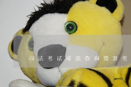 司法考试成绩查询要准考证号吗 司法考试成绩查询要准考证号吗