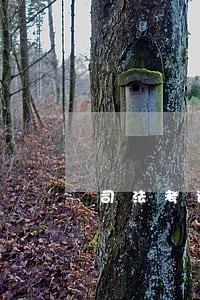 司法考试改革对比 司法考试改革对比