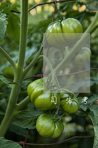 司法考试救妈救女友 司法考试救妈救女友